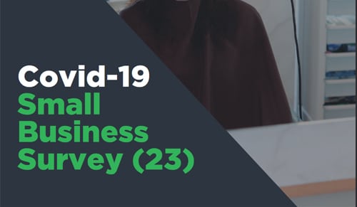 Covid-19 Small Business Survey